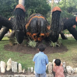 5 reasons to check out bug mania at the San Antonio Zoo