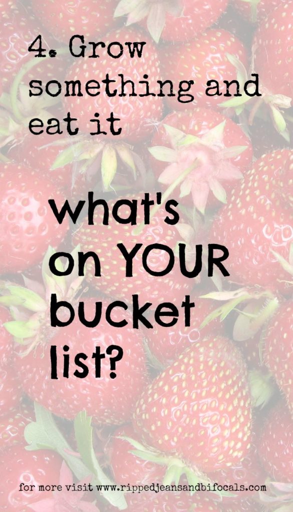 What's on my bucket list|Ripped Jeans and Bifocals|Bucket list ideas|midlife|family ideas|