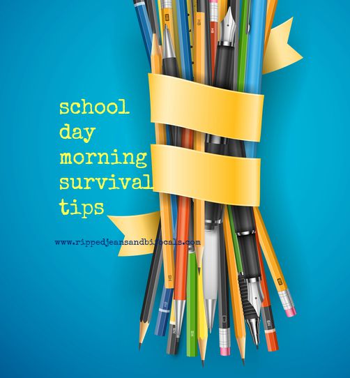 4 back to school survival tips