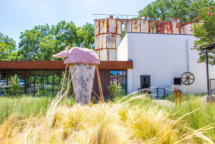 Day out at the Hill Country Science Mill