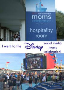 I went to the Disney Social Media Moms Celebration Small Pin