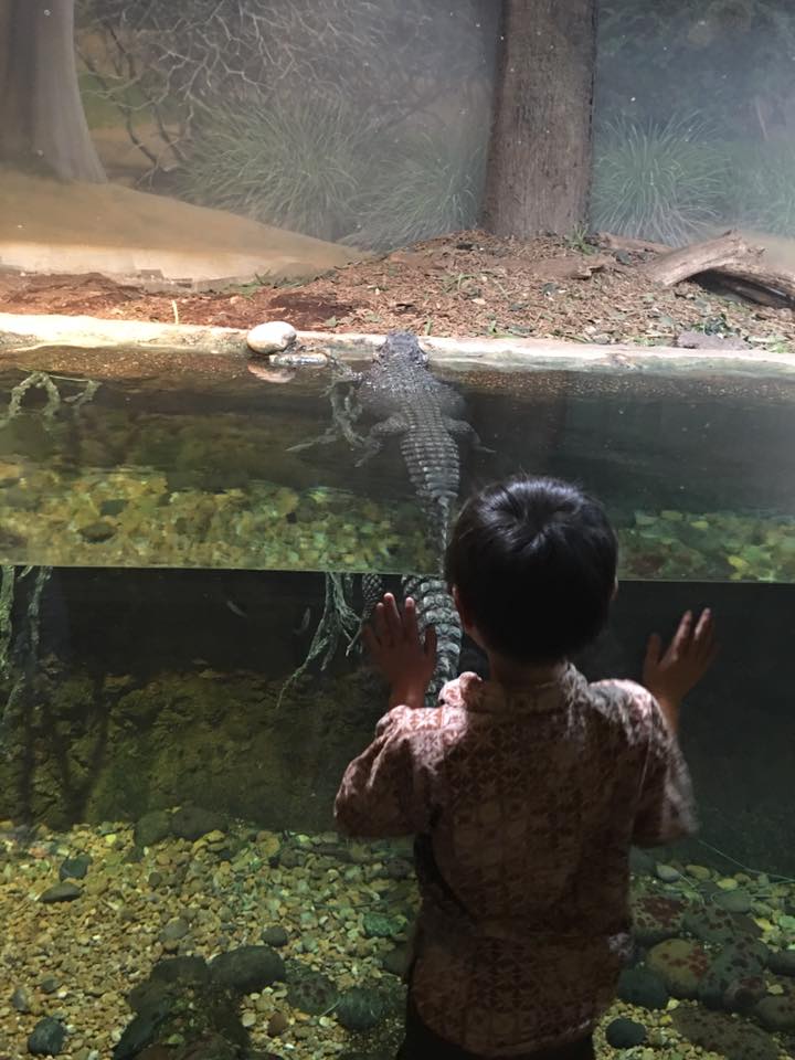 5 reasons to check out Bug Mania at the San Antonio Zoo|Ripped Jeans and Bifocals