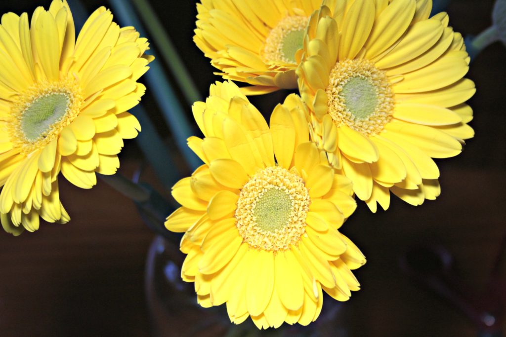 Mother's Day Gift Idea: Mason Jars with Upcycled Greeting Cards|Ripped Jeans and Bifocals