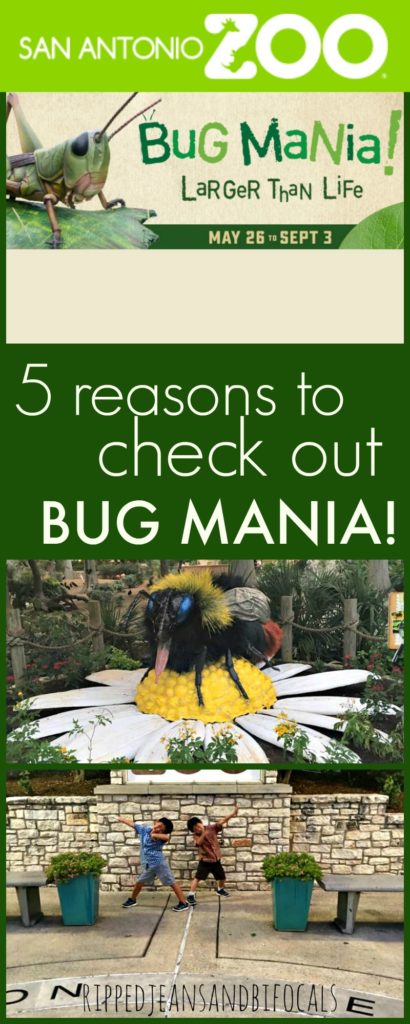 5 reasons to check out Bug Mania at the San Antonio Zoo|Ripped Jeans and Bifocals