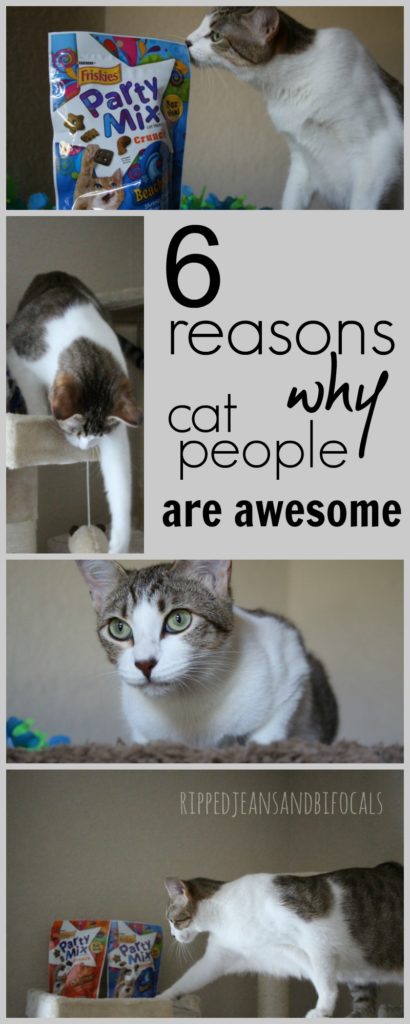 Six reasons why cat people are awesome|Ripped Jeans and Bifocals