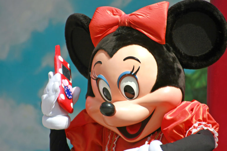 7 Reasons to use a Disney vacation planner