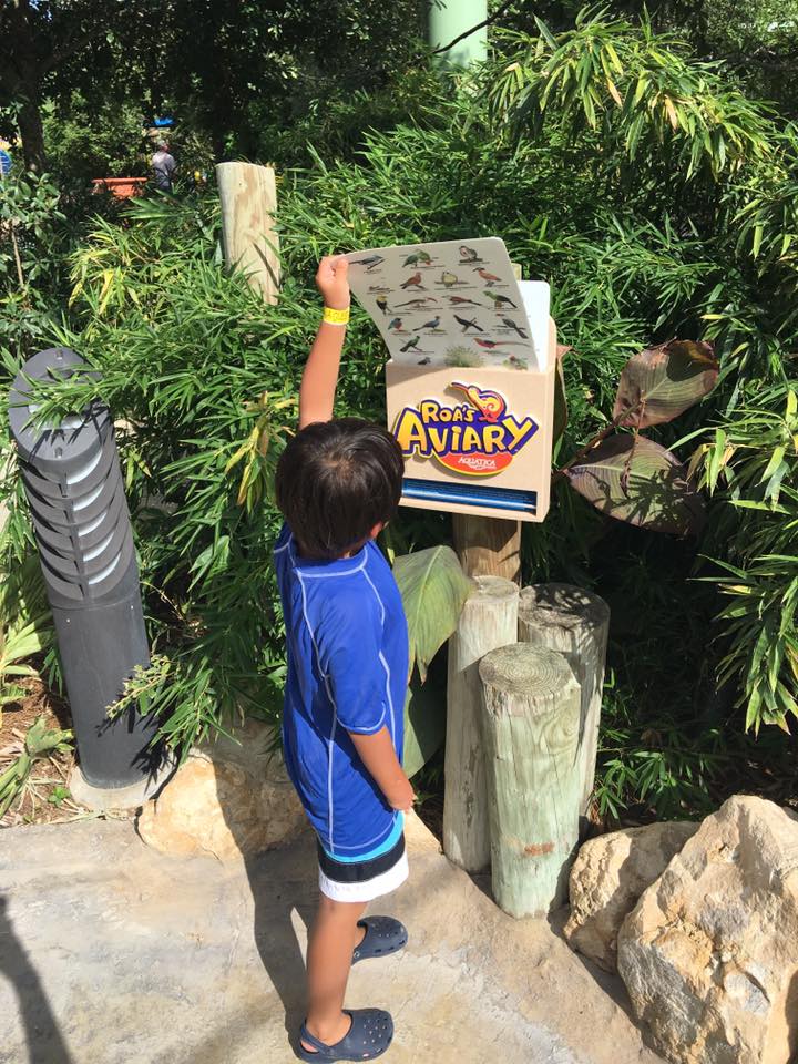 Are you looking for ideas for family travel, weekend fun or tips on how and where to travel with kids? Check out this post on Aquatica San Antonio|Ripped Jeans and Bifocals