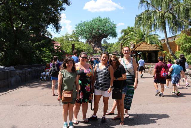 6 Reasons to to Disney without kids|Ripped Jeans and Bifocals