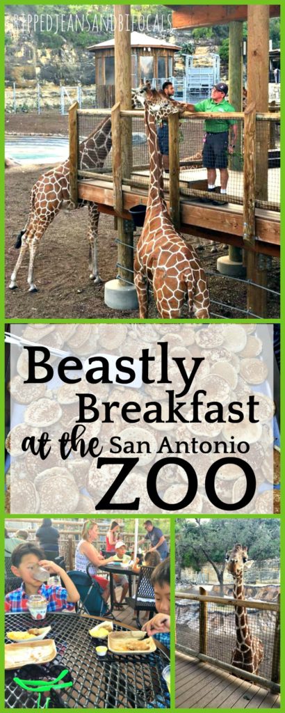 Beastly Breakfast at the San Antonio Zoo|Ripped Jeans and Bifocals