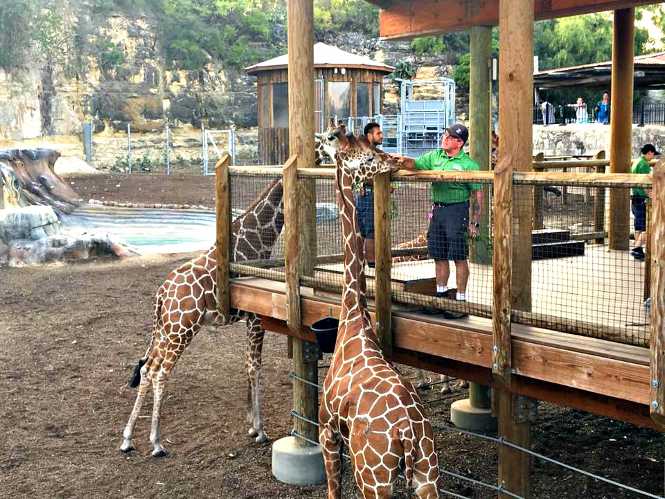 Beastly Breakfast at the San Antonio Zoo - Ripped Jeans & Bifocals