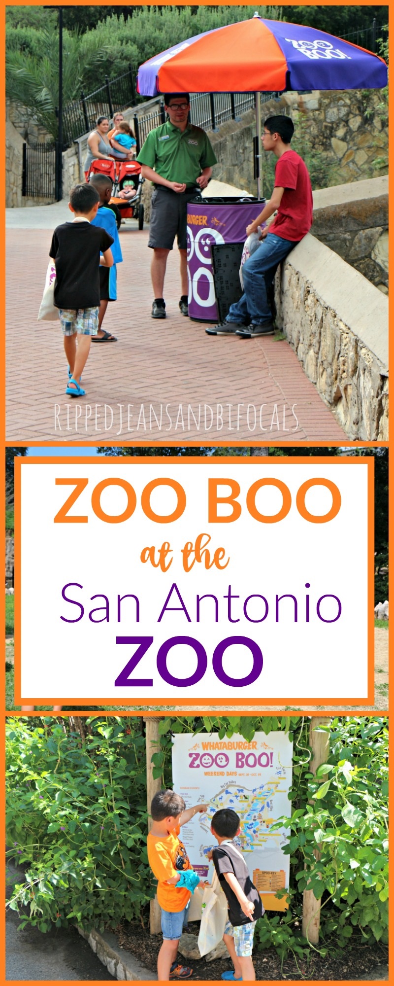 Zoo Boo at the San Antonio Zoo|Ripped Jeans and Bifocals