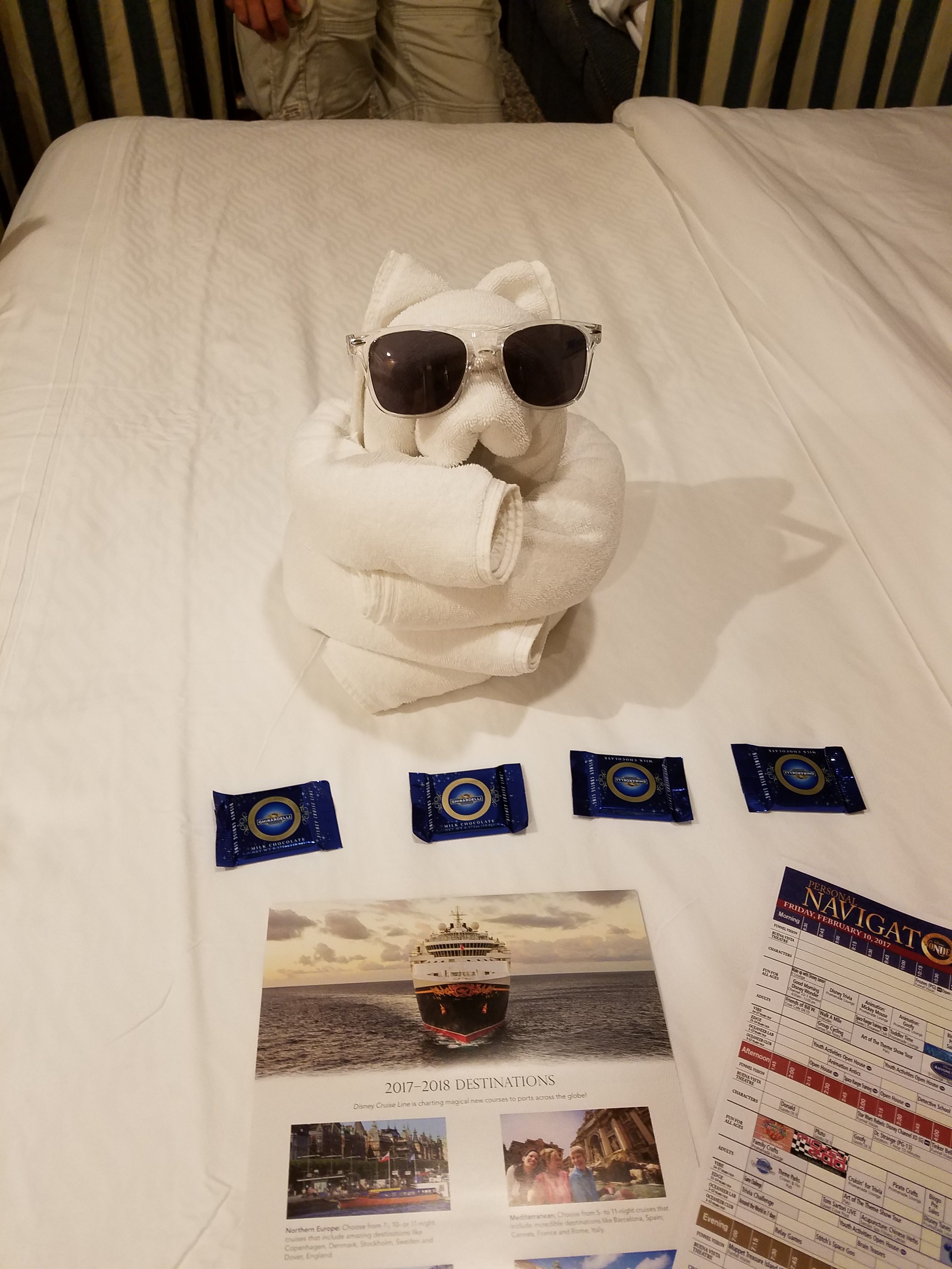 Review of the Disney Wonder - Everything You Need to Know