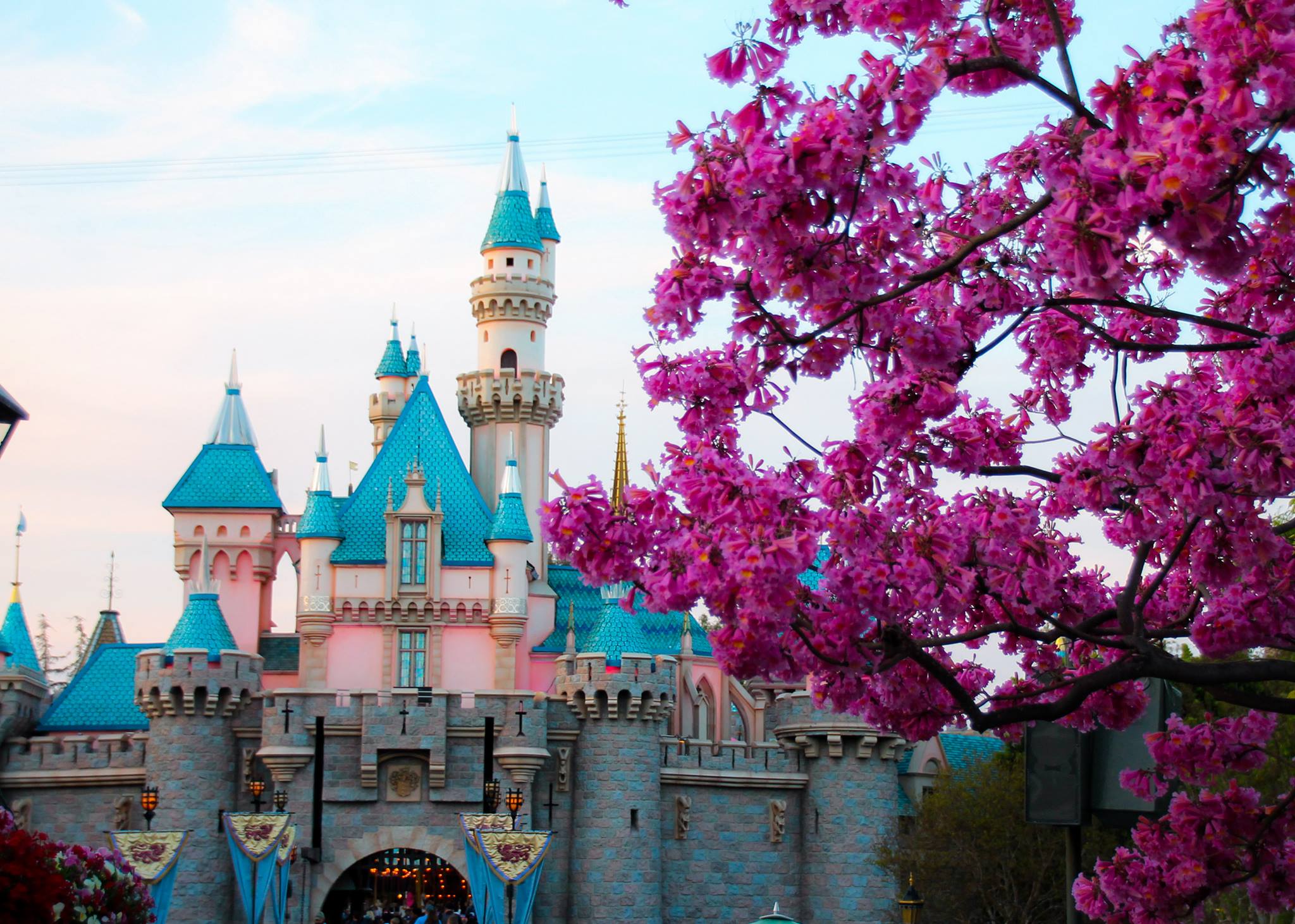 If you're looking for active vacation ideas in Southern California, Disneyland is a great way to get those steps in!!