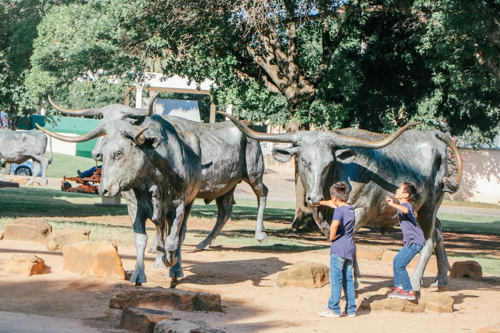 things-to-do-in-Waco-Texas-Besides-Magnolia-Market-Ripped-Jeans-and-Bifocals-cattle-drive-monument