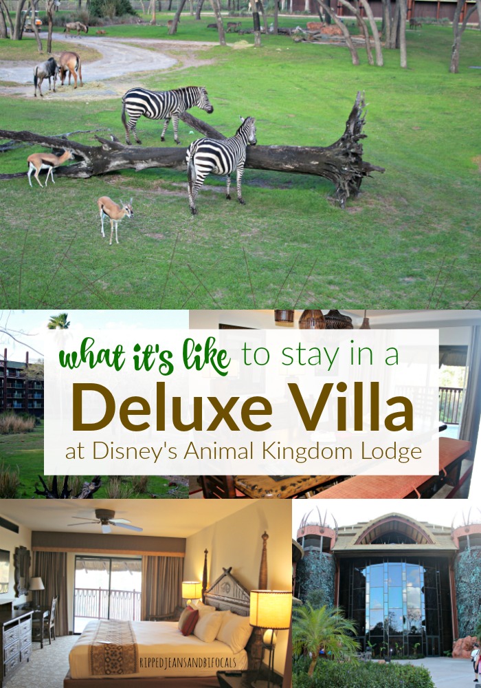 Deluxe Villas at Disney's Animal Kingdom Lodge