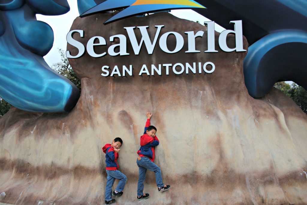 Visit SeaWorld San Antonio this spring break