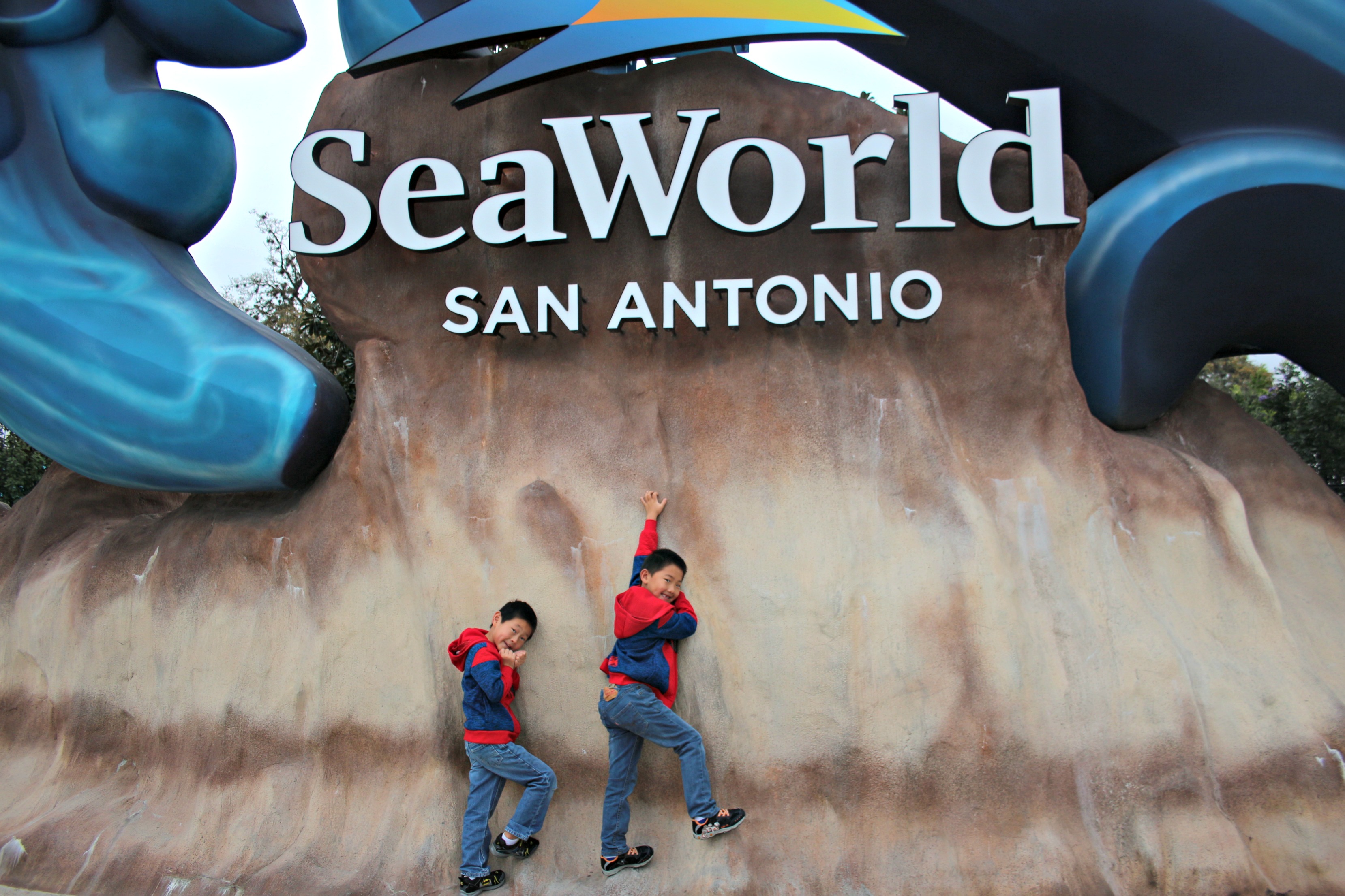 Visit SeaWorld San Antonio this spring break