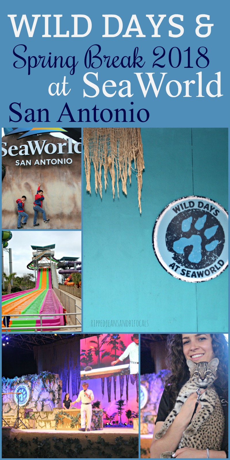 Visit SeaWorld San Antonio during spring break 2018