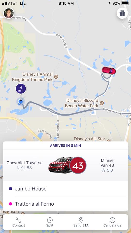 Everything you need to know about the Minnie Van service at Walt Disney World|Ripped Jeans and Bifocals