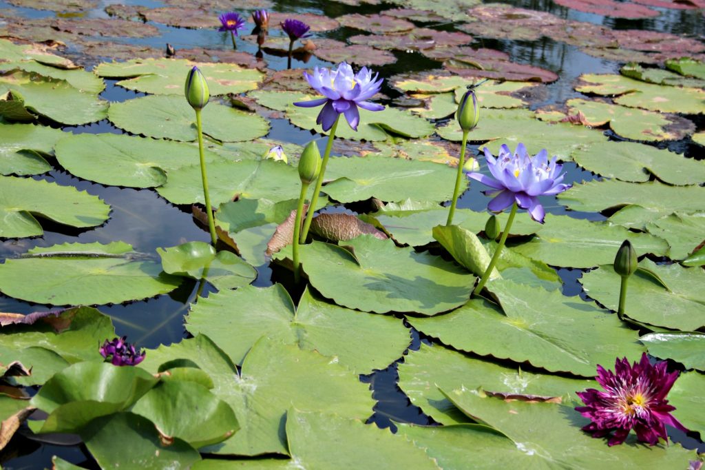  Vacaciones de primavera en Texas San Angelo