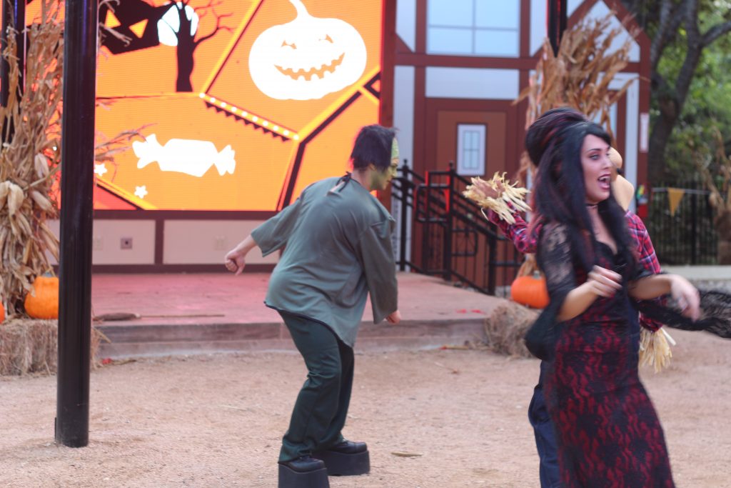 Everything you need to know about Halloween at SeaWorld San Antonio