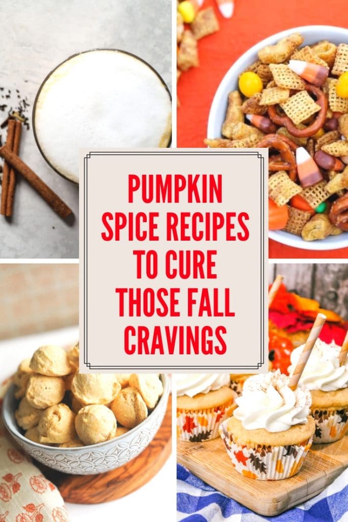 Pumpkin Spice Recipes to Complete your Fall Cravings