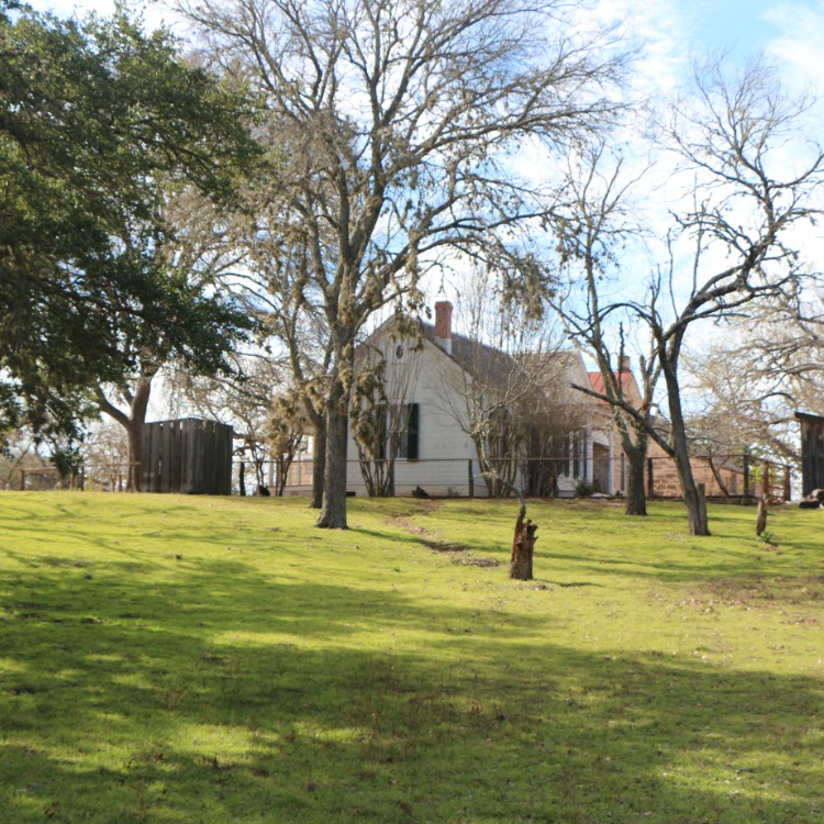 If you're visiting Fredericksburg Texas with kids, don't miss the Sauer-Beckmann Farmstead