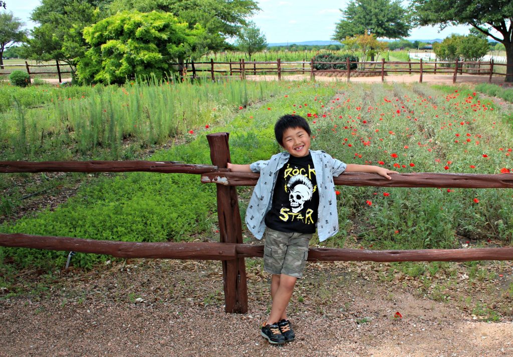 There are lots of things to do with kids in Fredericksburg Texas