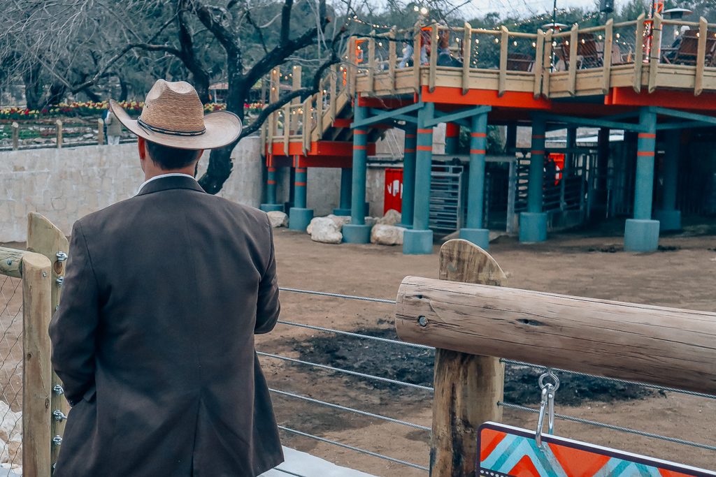 The San Antonio Zoo welcomes two new rhinos|Handsome man overlooking savanna at San Antonio Zoo