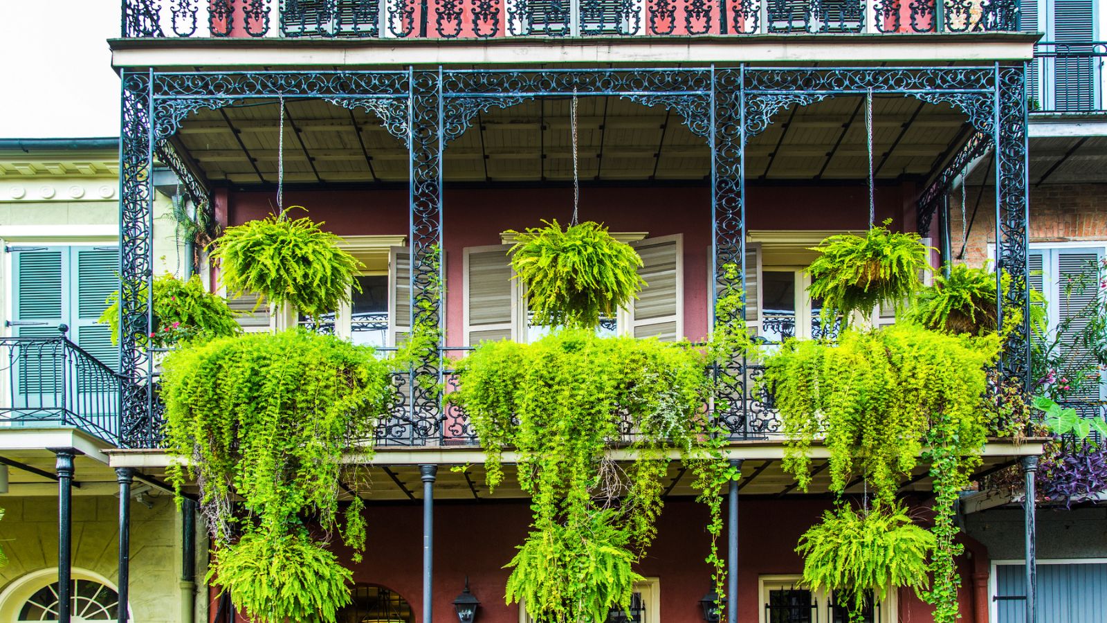 New Orleans Beyond Bourbon Street