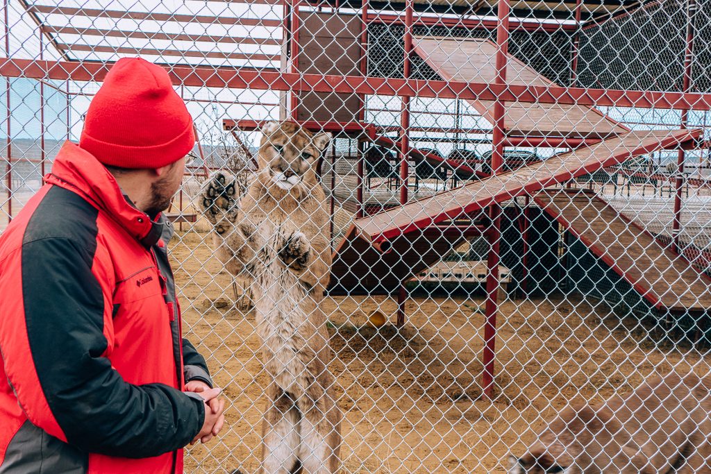 vacanța de primăvară în Texas - Centrul pentru salvarea și educația animalelor