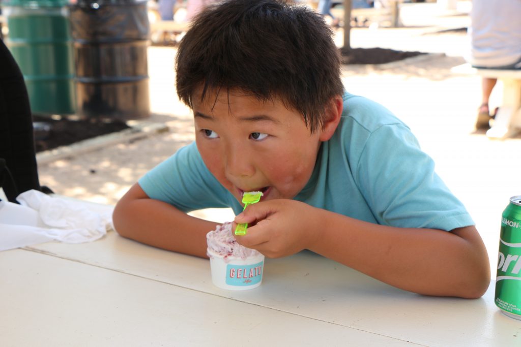 tips-for-visiting-magnolia-market-ripped-jeans-and-bifocals-gelato-pic