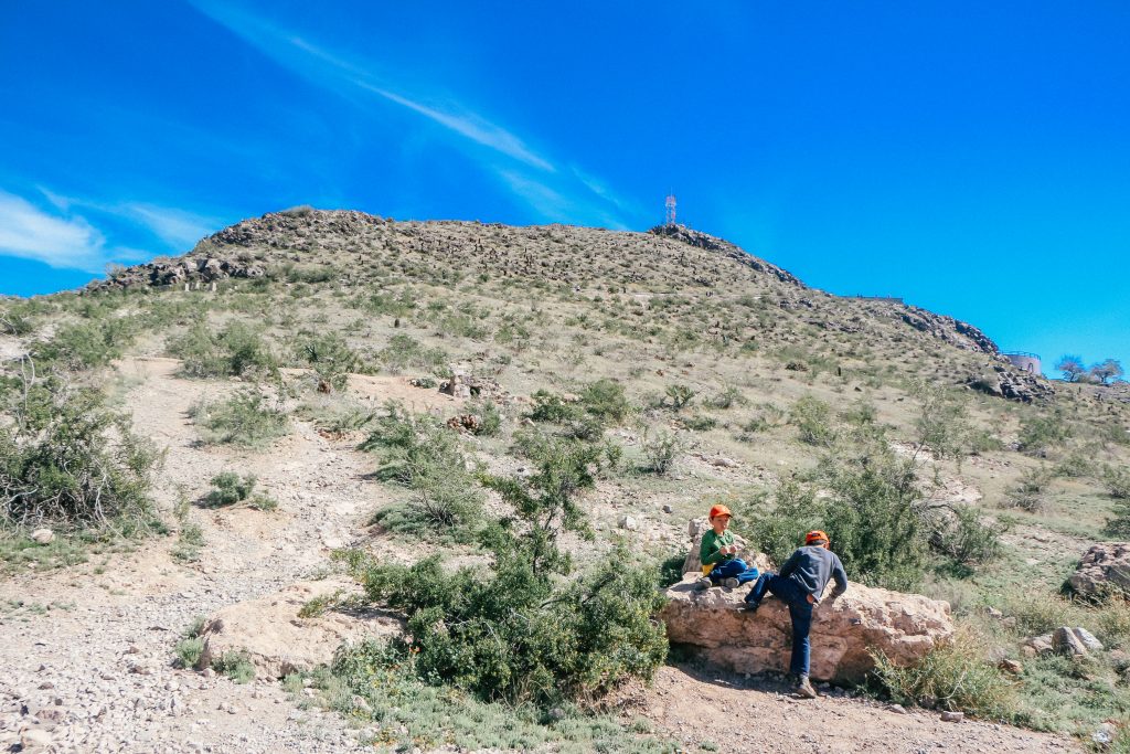 Tips for hiking Hayden Butte in Tempe Arizona