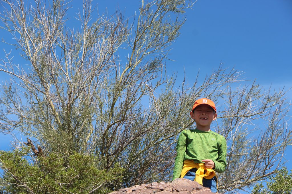 Tips for hiking Hayden Butte in Tempe Arizona include taking plenty of water