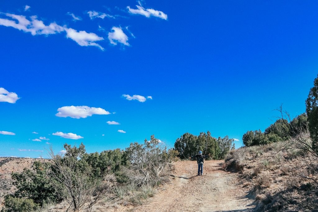 jeep tours palo duro canyon