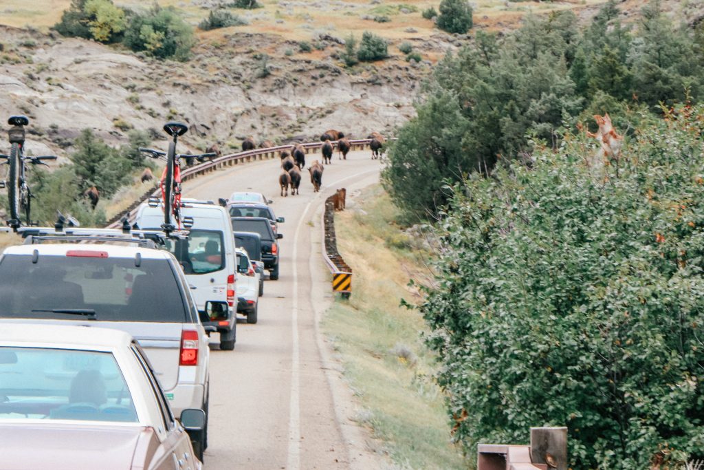 Things to do in Medora North Dakota - obviously the Theodore Roosevelt National Park is a don't miss.