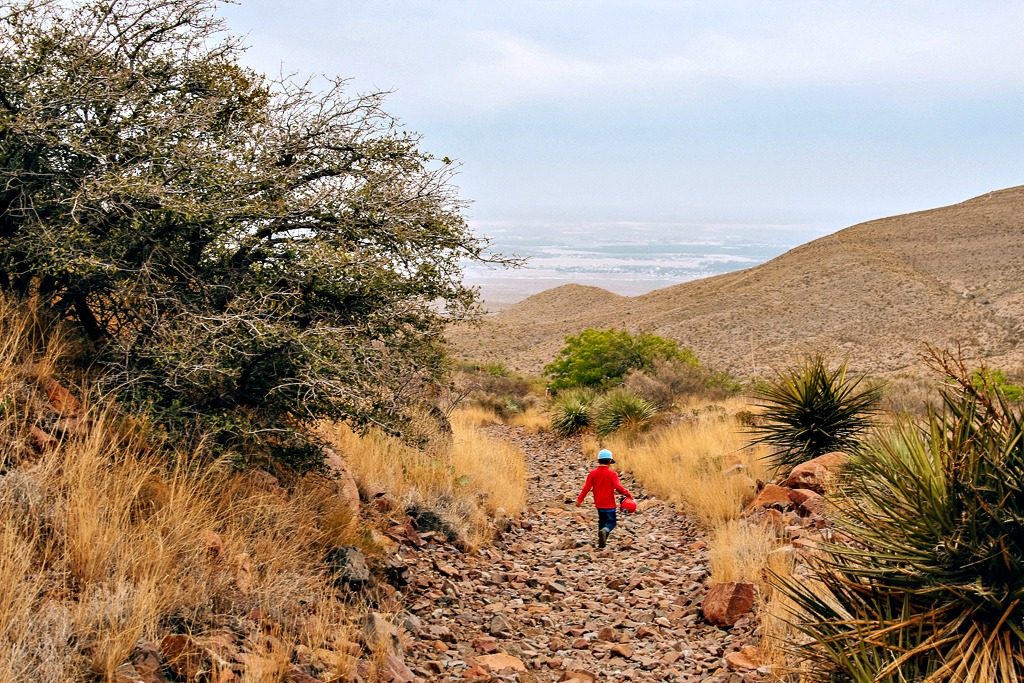  Voyage de vacances de printemps Texas - El Paso et le parc d'État des montagnes Franklin 