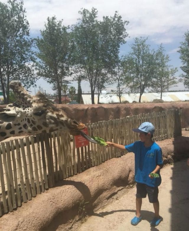 Fun things to do with Kids in El Paso Texas - Ripped Jeans & Bifocals