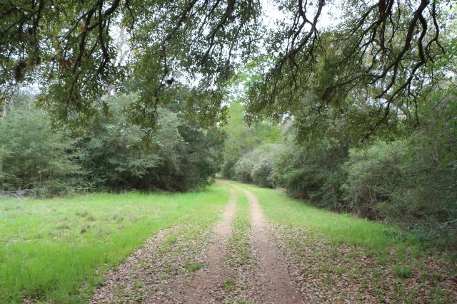 Walking trail