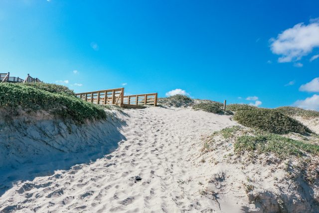 Sand dunes on Mustang Island