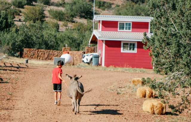 Boy in red shirt at Wasserman Wranch in West Texas