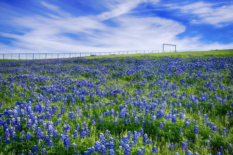The Ultimate Texas Bucket List – Epic Things to do and See in Texas