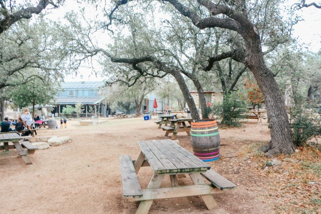 beer garden at Jester King Brewery