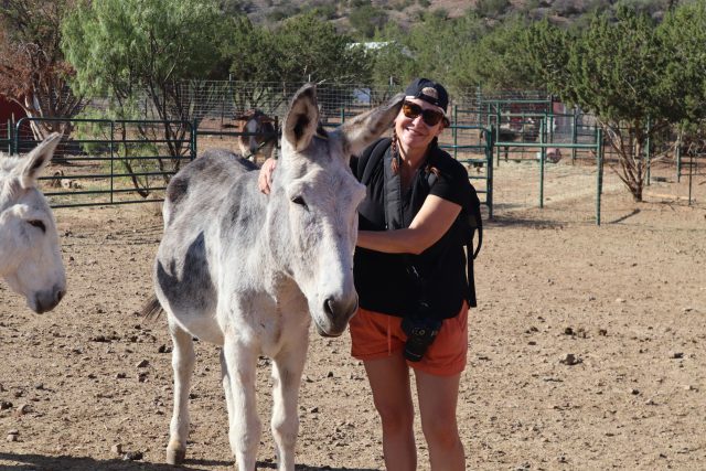 Woman posing with a white donkey