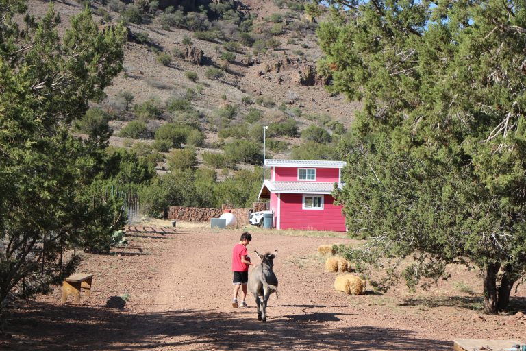 Wassermann Wranch – A place for the animal lover in Alpine Texas
