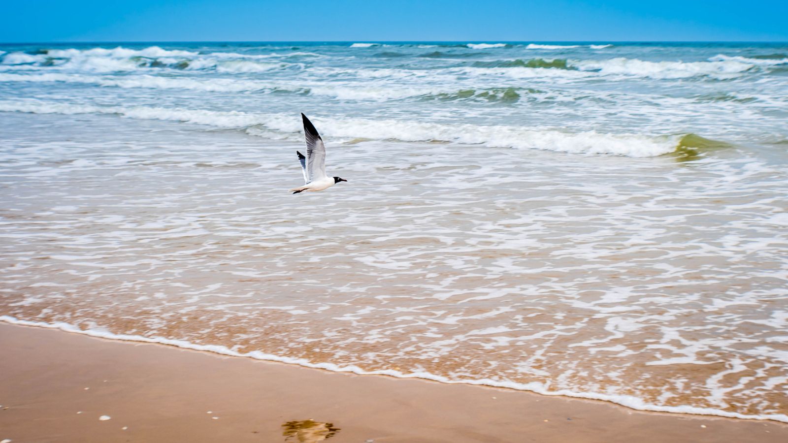 Best Texas Beaches for Families this Summer