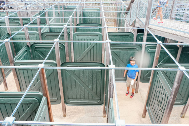 Maze at Natural Bridge Caverns