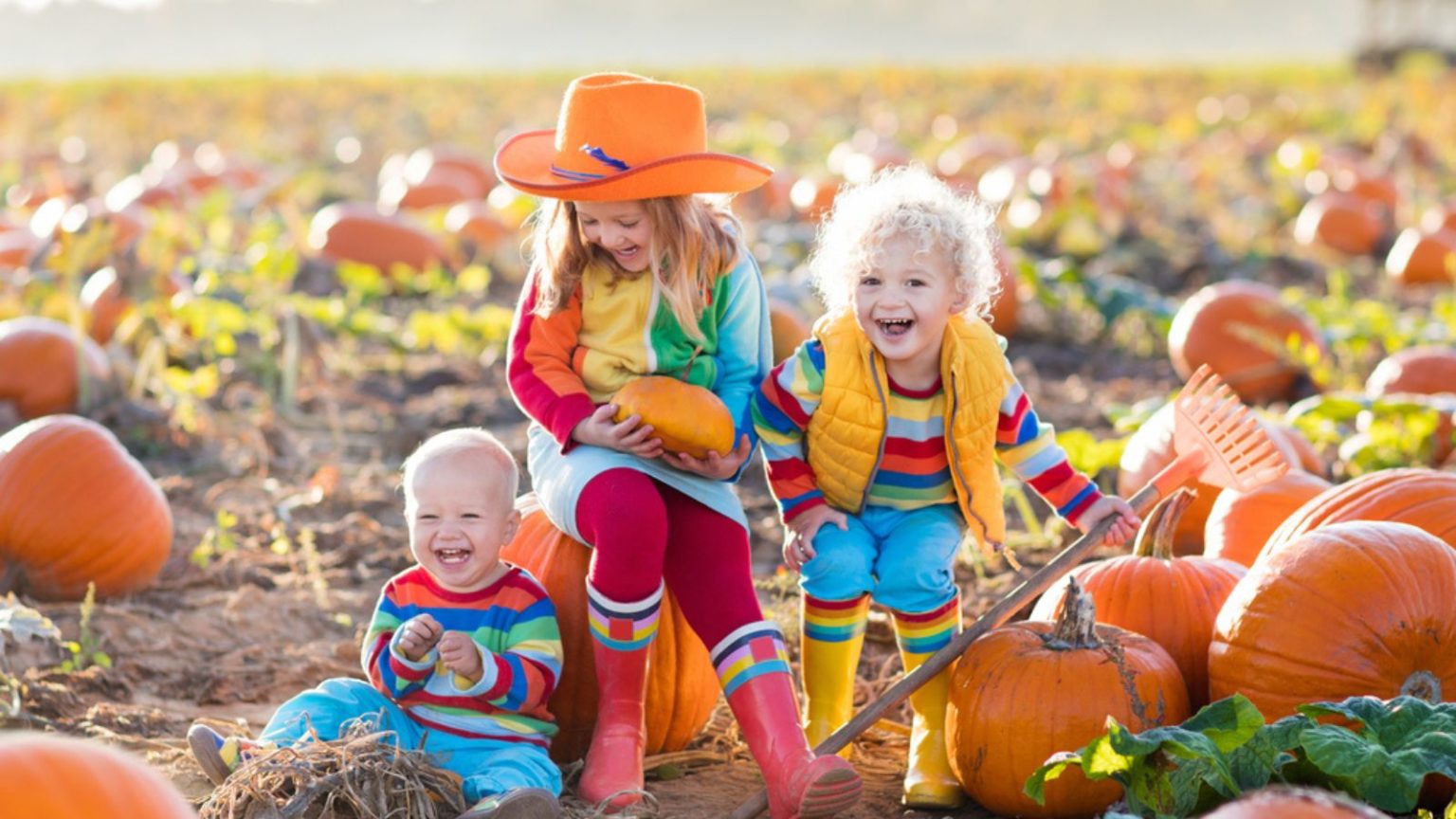 Pumpkin Patches in San Antonio in 2023 - Ripped Jeans & Bifocals