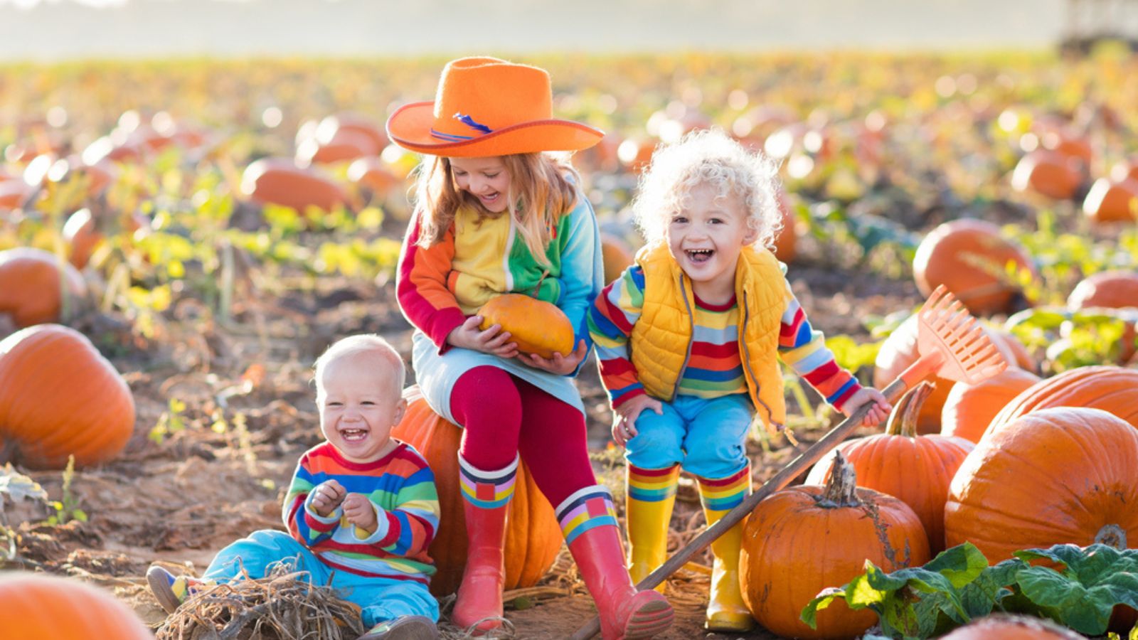 Kids playing in a San Antonio pumpkin patch.