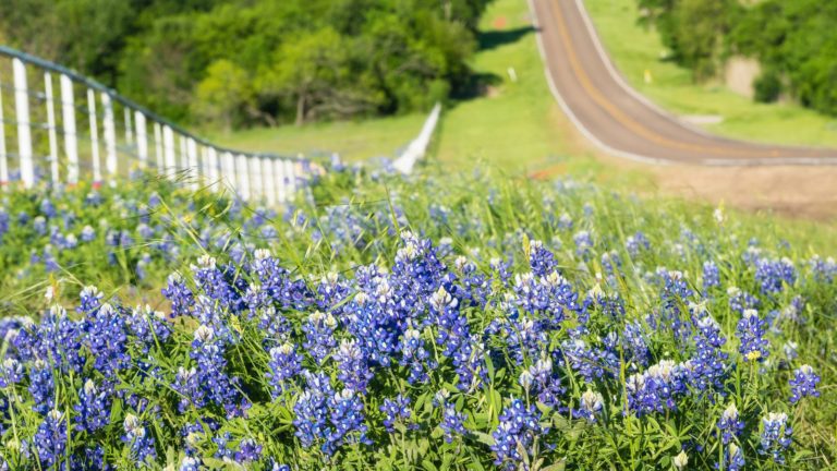 Spring Break in Texas – The Best Places to Go